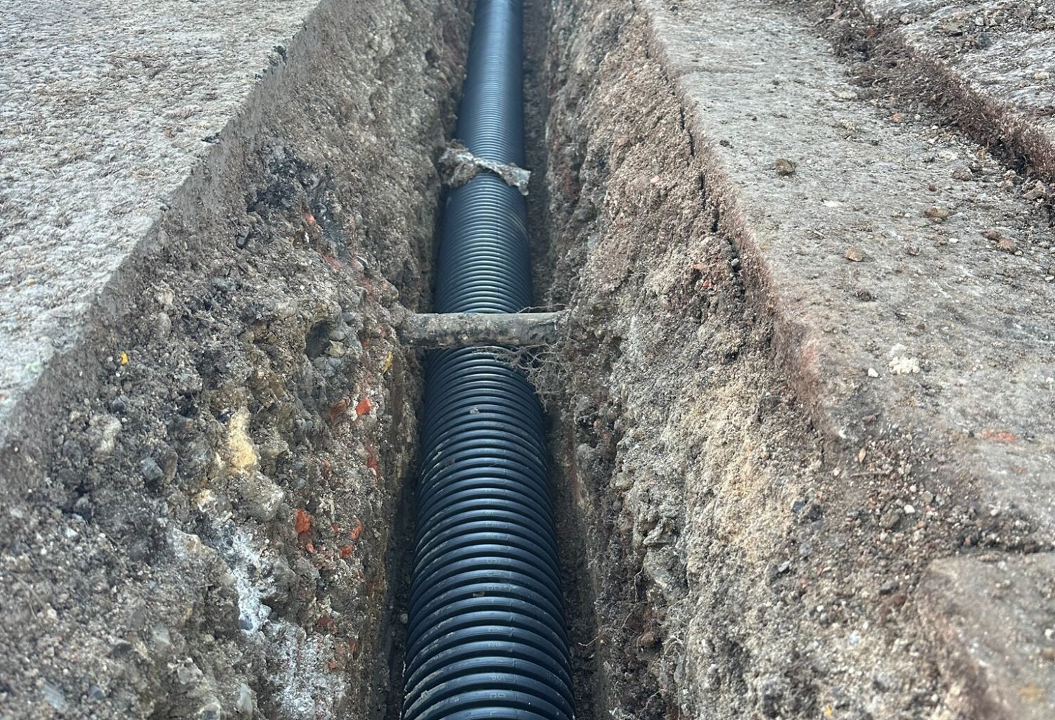 WhatsApp Image 2024-01-19 at 09.41.03