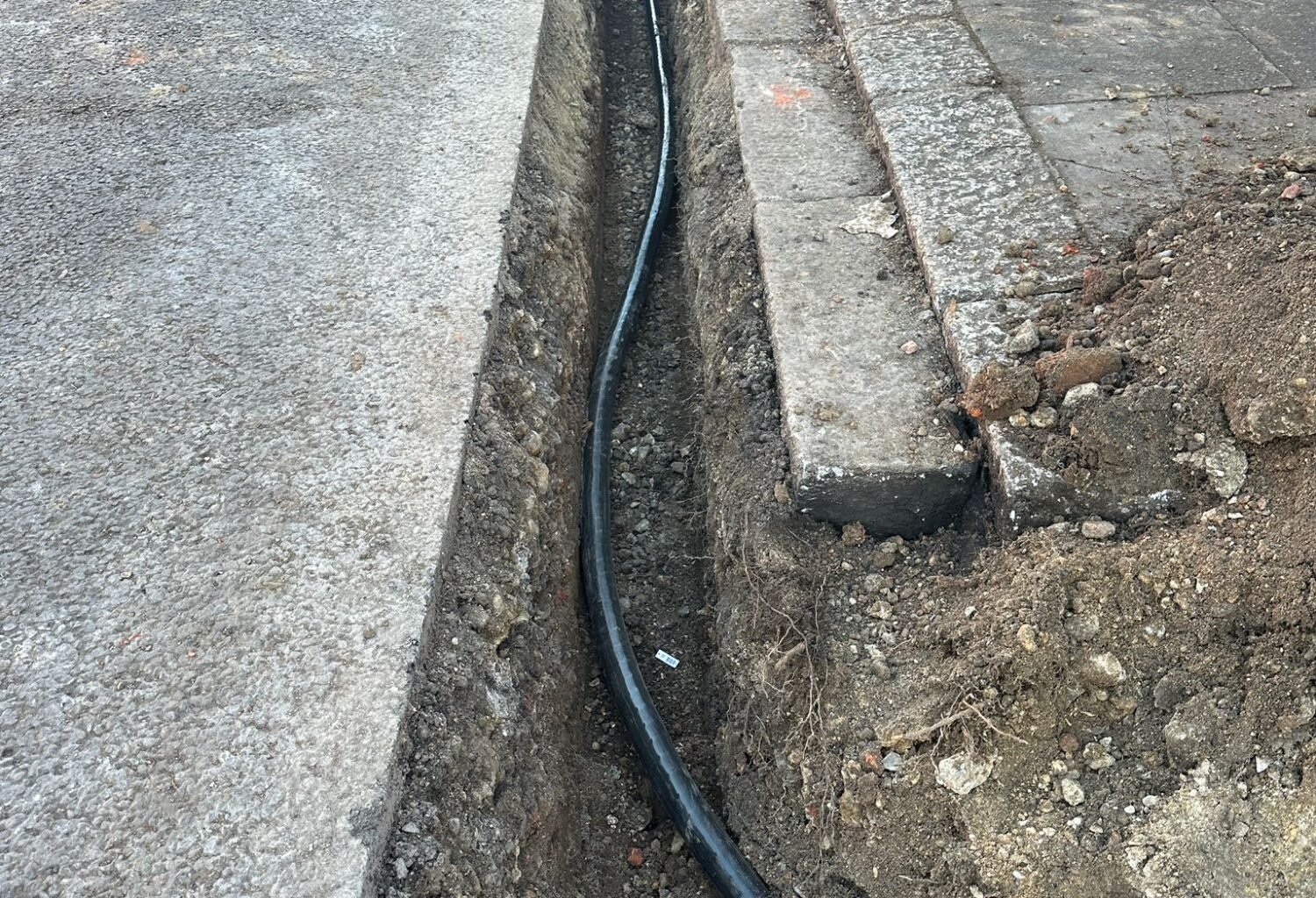 WhatsApp Image 2024-01-19 at 09.41.04